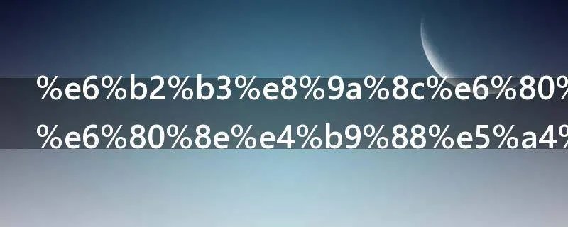 河蚌怎么吃怎么处理