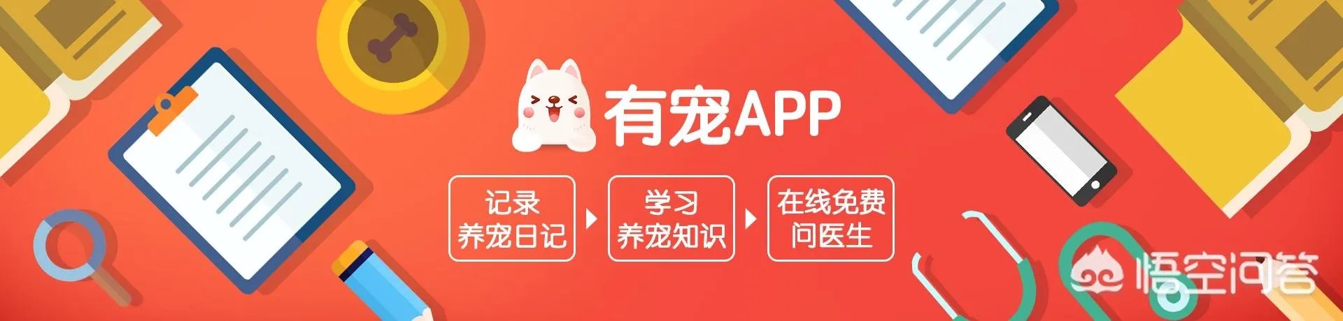 为什么《向往的生活》里柴犬“瓢哥”最火？