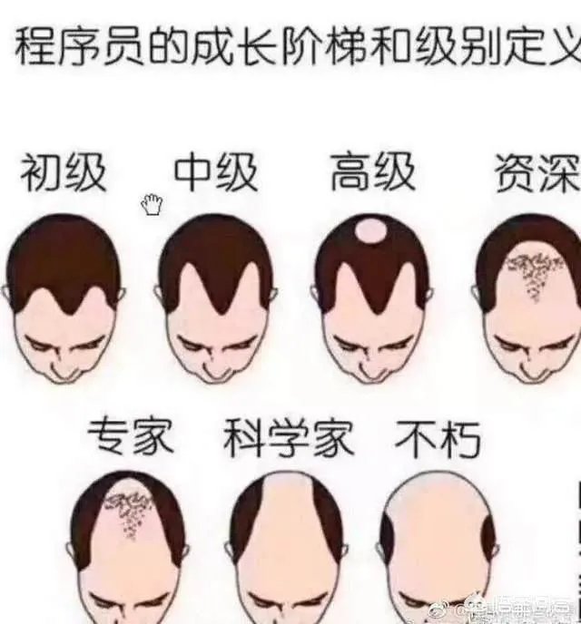 程序员高手和程序员菜鸟的区别是什么？