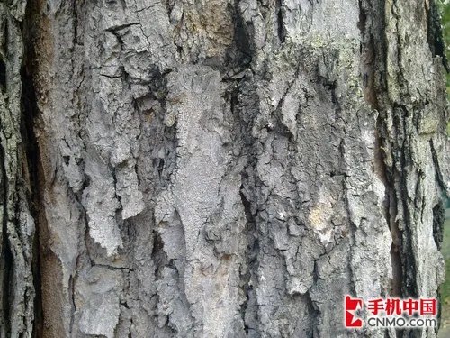 令人惊艳的的500万 诺基亚E72样张解析