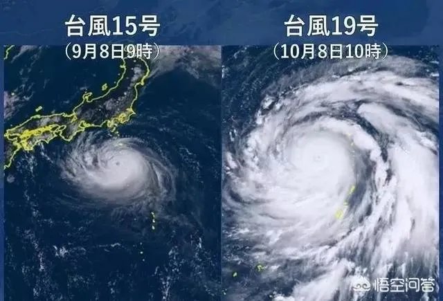 日本有史以来最强的台风是哪个?