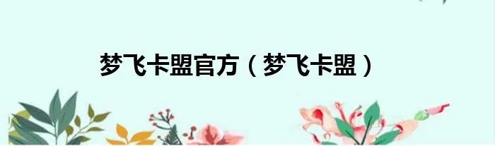 梦飞卡盟官方（梦飞卡盟）