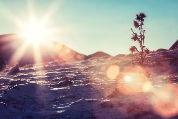 一年求职人有多少