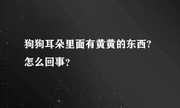 狗狗耳朵里面有黄黄的东西?怎么回事？