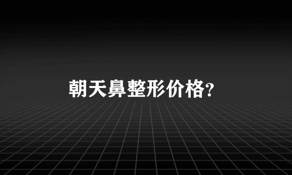 朝天鼻整形价格？