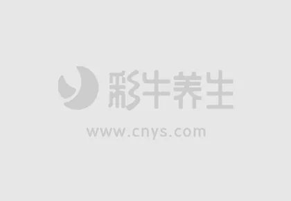 长期吸烟肺不好？多吃它清除体内十年毒素