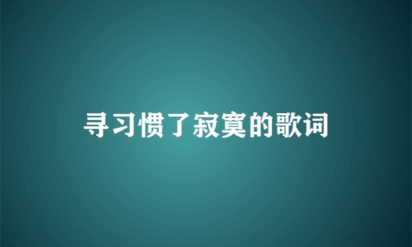 寻习惯了寂寞的歌词