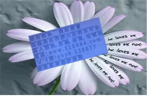 澳洲如何网络看cctv的世界杯直播？