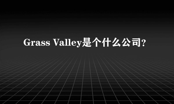 Grass Valley是个什么公司？