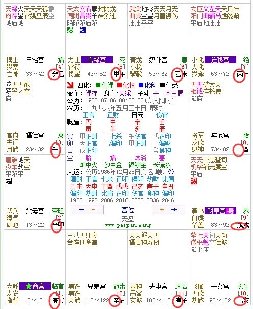 十二宫四化飞星详解