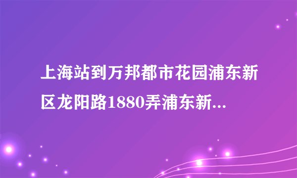 上海站到万邦都市花园浦东新区龙阳路1880弄浦东新区龙汇路280号怎么走？