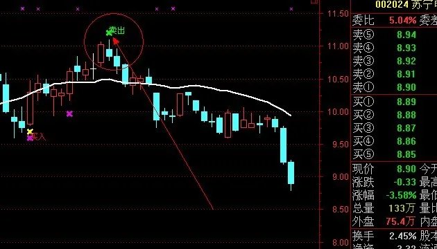 股票投资分析帮忙分析一支股：0020243（苏宁电器）详细一些