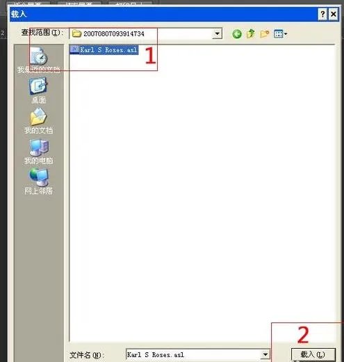 PS下载的样式怎么用。
