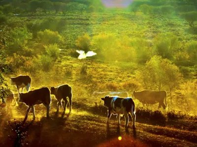 十一冷门旅游线路推荐