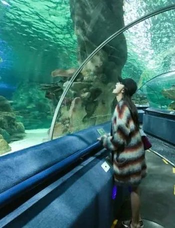 董子健怎样深情告白孙怡?