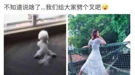 唐艺昕疑否认怀孕详情始末曝光（附唐艺昕张若昀相遇故事）