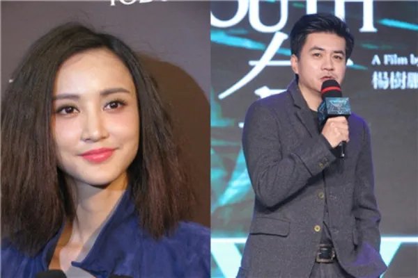 揭秘张歆艺离婚的原因她的感情史丰富吗