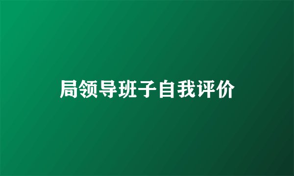 局领导班子自我评价
