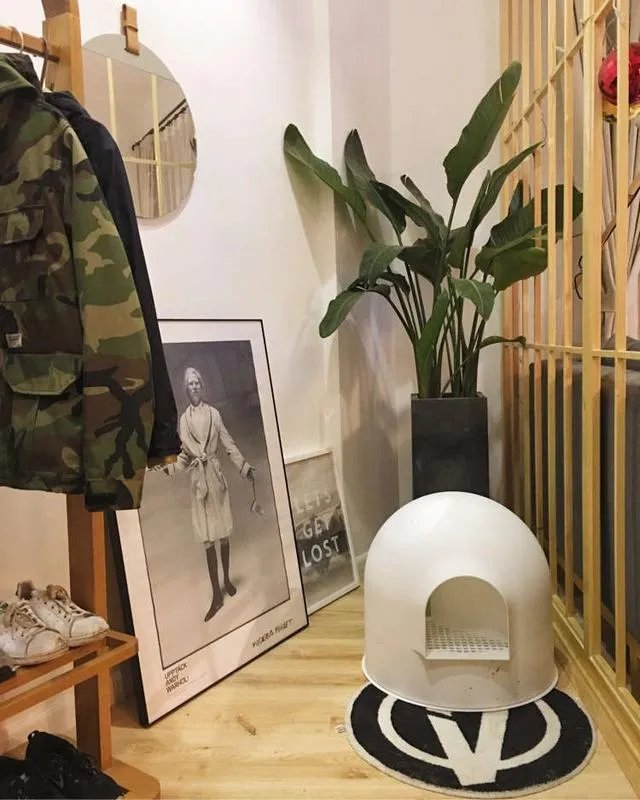 二手房要怎么去装修呢？