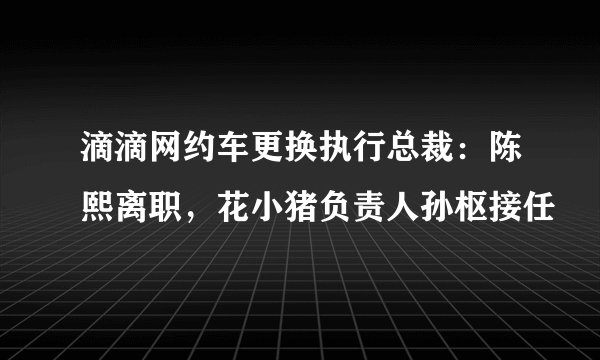 滴滴网约车更换执行总裁：陈熙离职，花小猪负责人孙枢接任