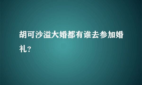 胡可沙溢大婚都有谁去参加婚礼？
