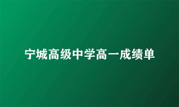 宁城高级中学高一成绩单