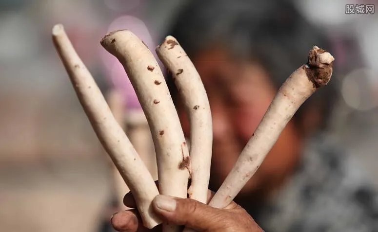 种植药材赚钱吗 种这些中药材收入会比较高