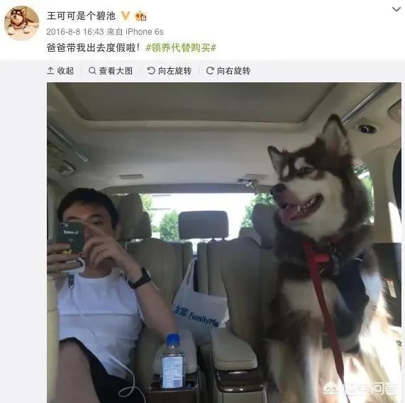 你知道哪些明星，在家养有什么样的宠物呢？