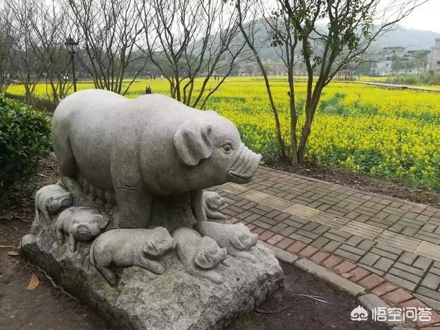 刘老根大舞台外本山徒弟豪车被围观