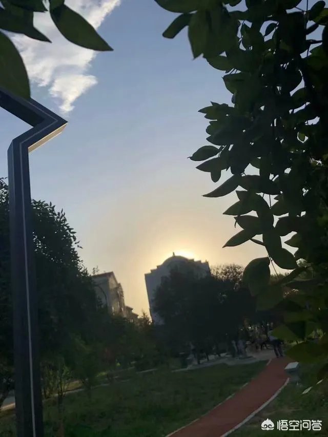 八十多岁的老太太病危，亲人要抢救，但老人叫孩子不要抢救了，你怎么看？