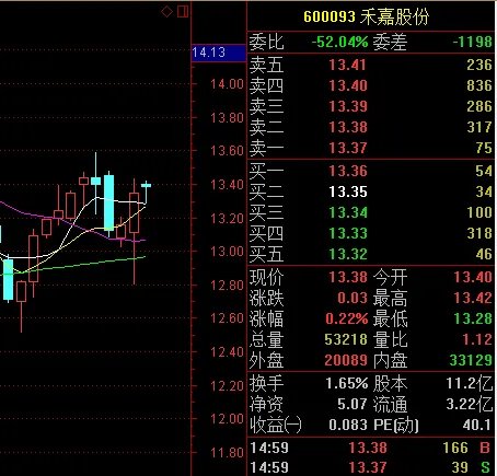 600093禾嘉股份是什么概念