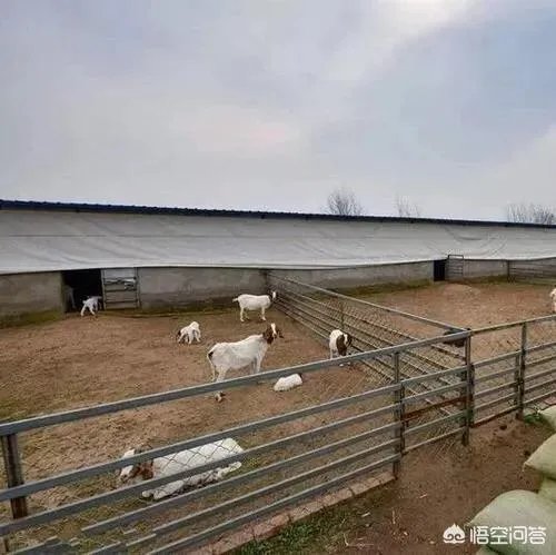 在自己家的耕地上建了一个养殖场，现在说属于违建要拆，该怎么办啊？