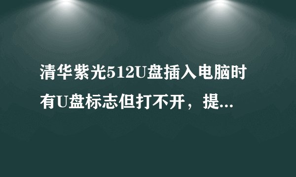 清华紫光512U盘插入电脑时有U盘标志但打不开，提示说“请将磁盘插入驱动器H：”