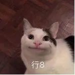 如何看待东海航空机长与乘务员在飞行途中发生争执并打架？