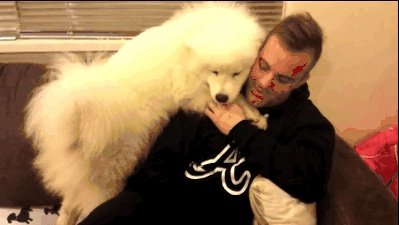 狗狗可以有多粘人？