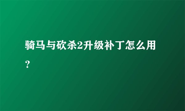 骑马与砍杀2升级补丁怎么用？