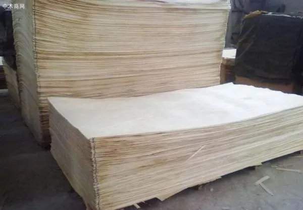 杨木木皮价格谁知道啊 进来看下！！