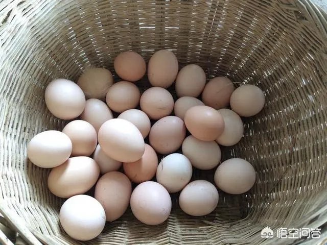 如何看待今年315晚会曝光出来的染色蛋冒充土鸡蛋，土鸡蛋和平常鸡蛋有何不同？