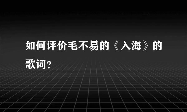 如何评价毛不易的《入海》的歌词？