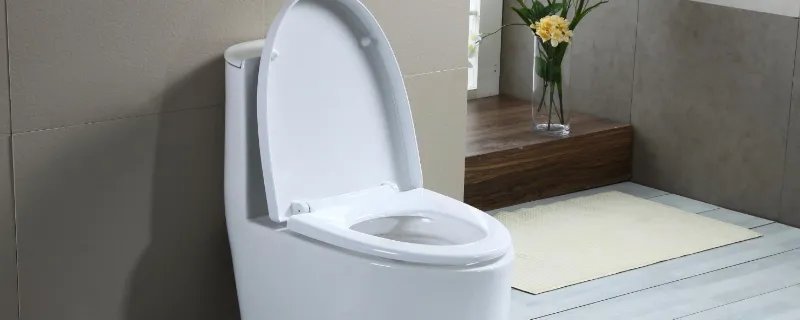 马桶位置可以移动吗