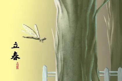 今天什么时候立春？