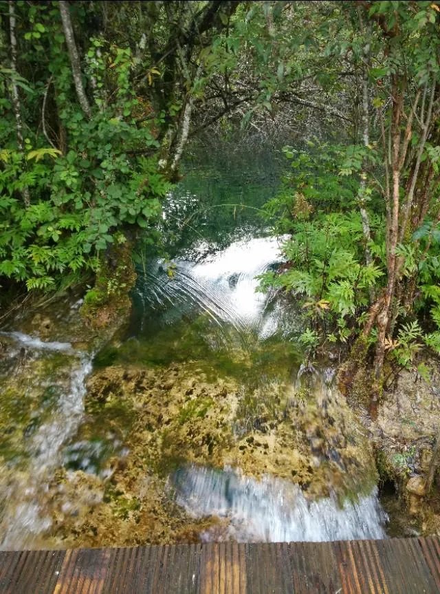 九寨沟地震过后又形成新的景点，你还会去吗？