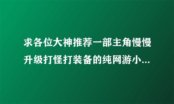 求各位大神推荐一部主角慢慢升级打怪打装备的纯网游小说，不要那种死一次掉级的，内容想象力要丰富点耐看？