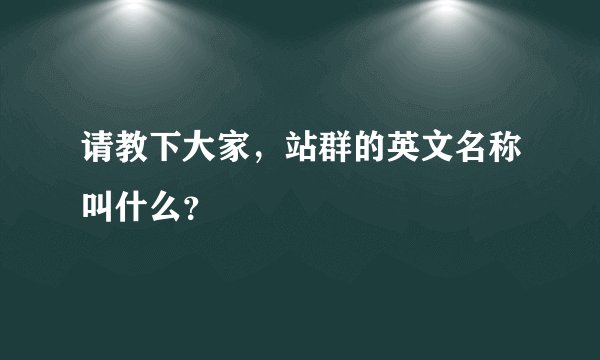 请教下大家，站群的英文名称叫什么？