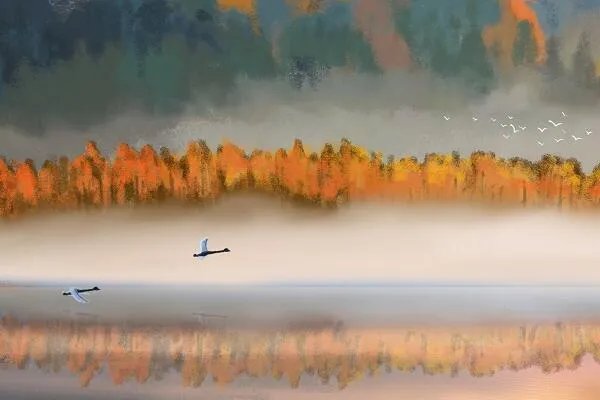 蒹葭全诗翻译 蒹葭原文翻译