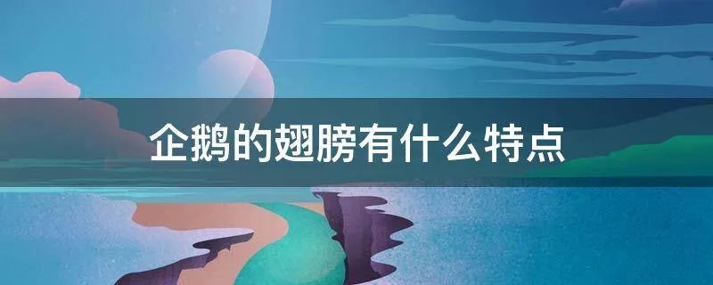 企鹅的翅膀有什么特点