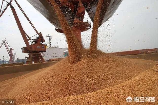 进口大豆多少钱一吨