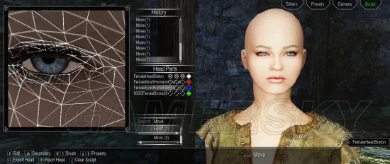 《上古卷轴5》Racemenu捏脸及制作独立美化随从教程