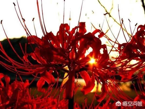 你有多久没哭过了？