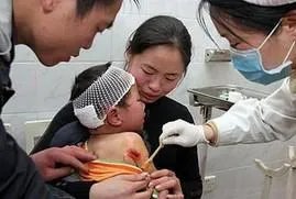 都有哪些老虎伤人事件？